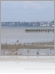 Bilder aus Friedrichshafen und umzu